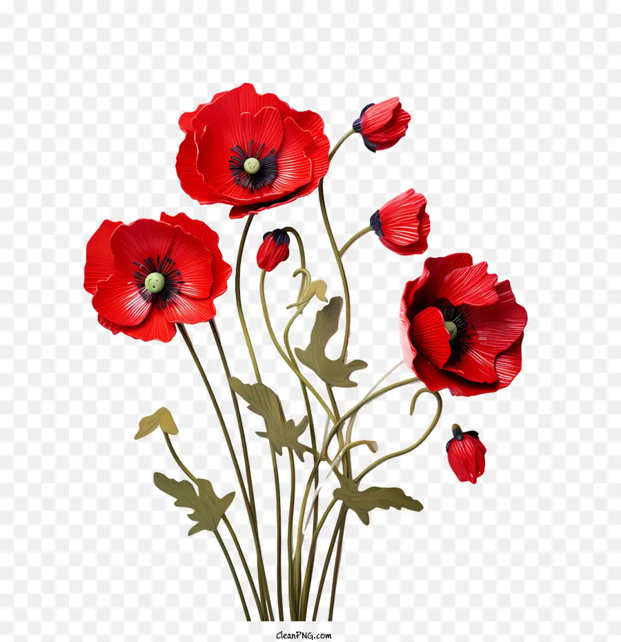 Fleur De Pavot，Coquelicots Rouges PNG