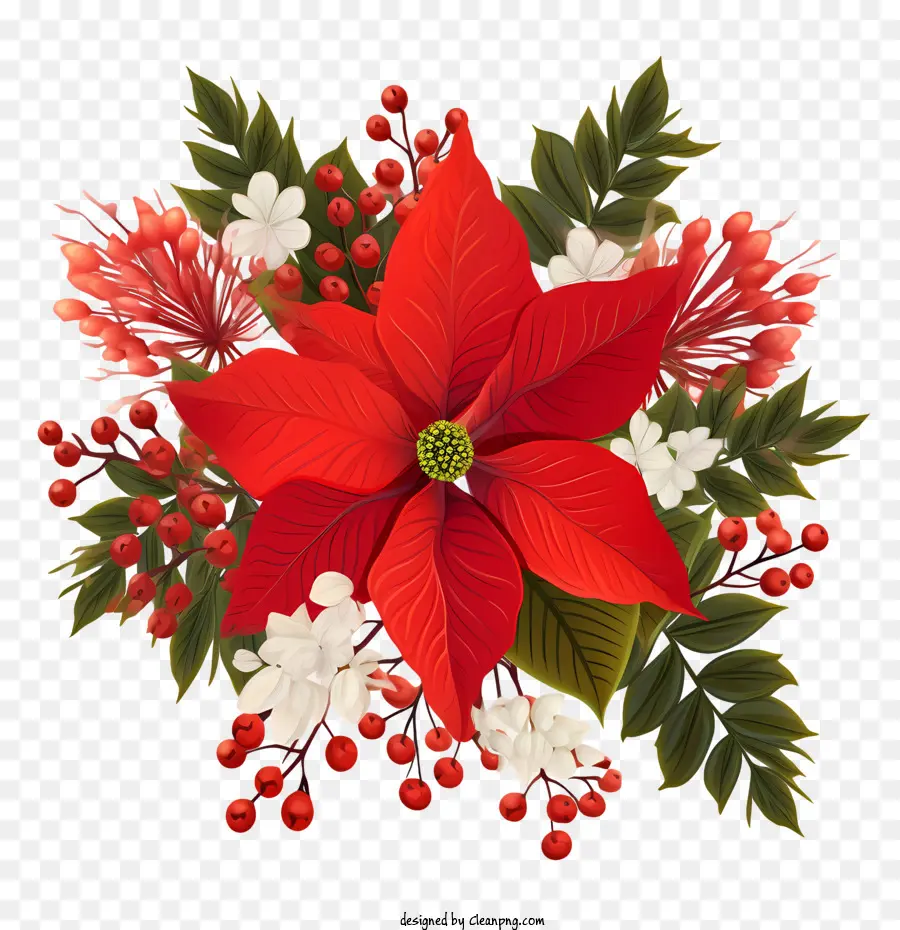 Fleur De Poinsettia，Fleur Rouge PNG