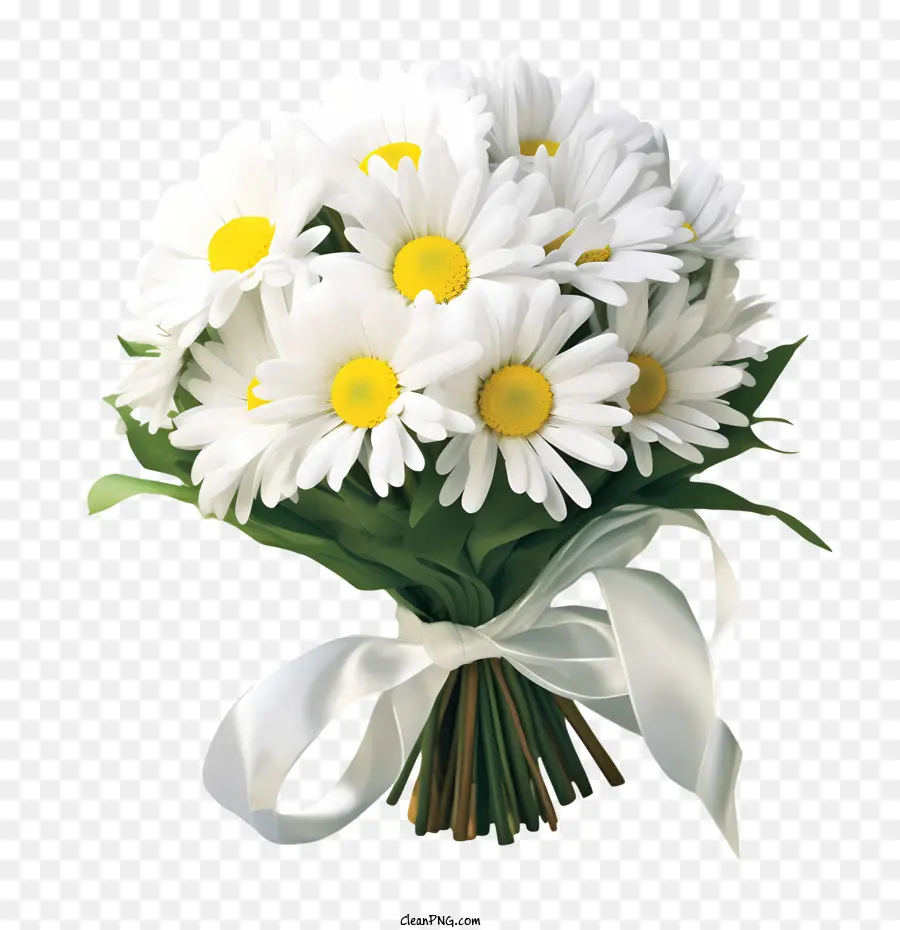 Fleur De Marguerite，Bouquet De Marguerites PNG