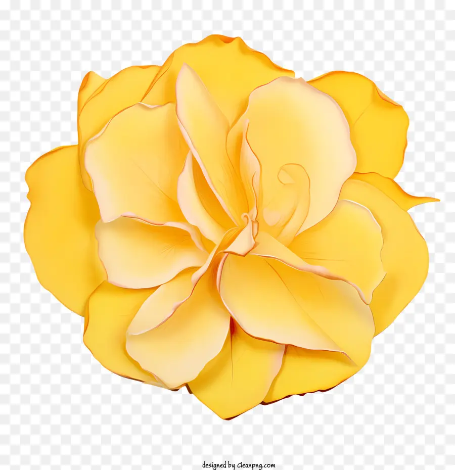 Pétales De Roses Jaunes，Fleur Jaune PNG