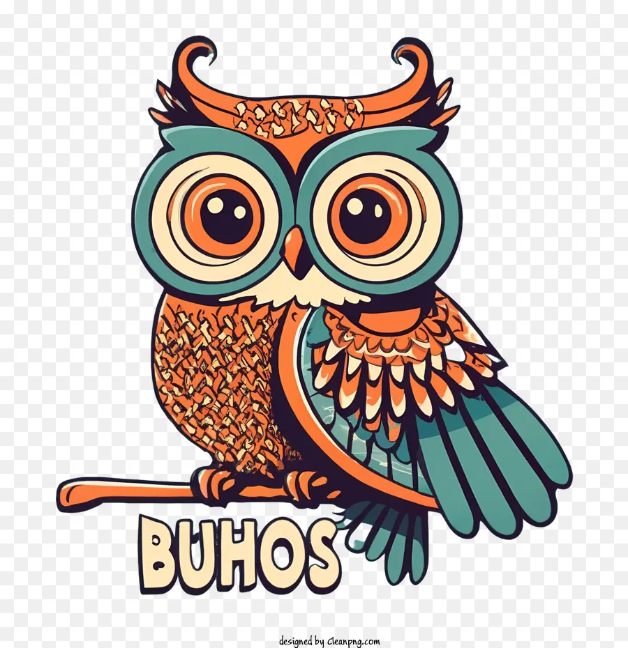 Cartoon Hibou，Chouette PNG