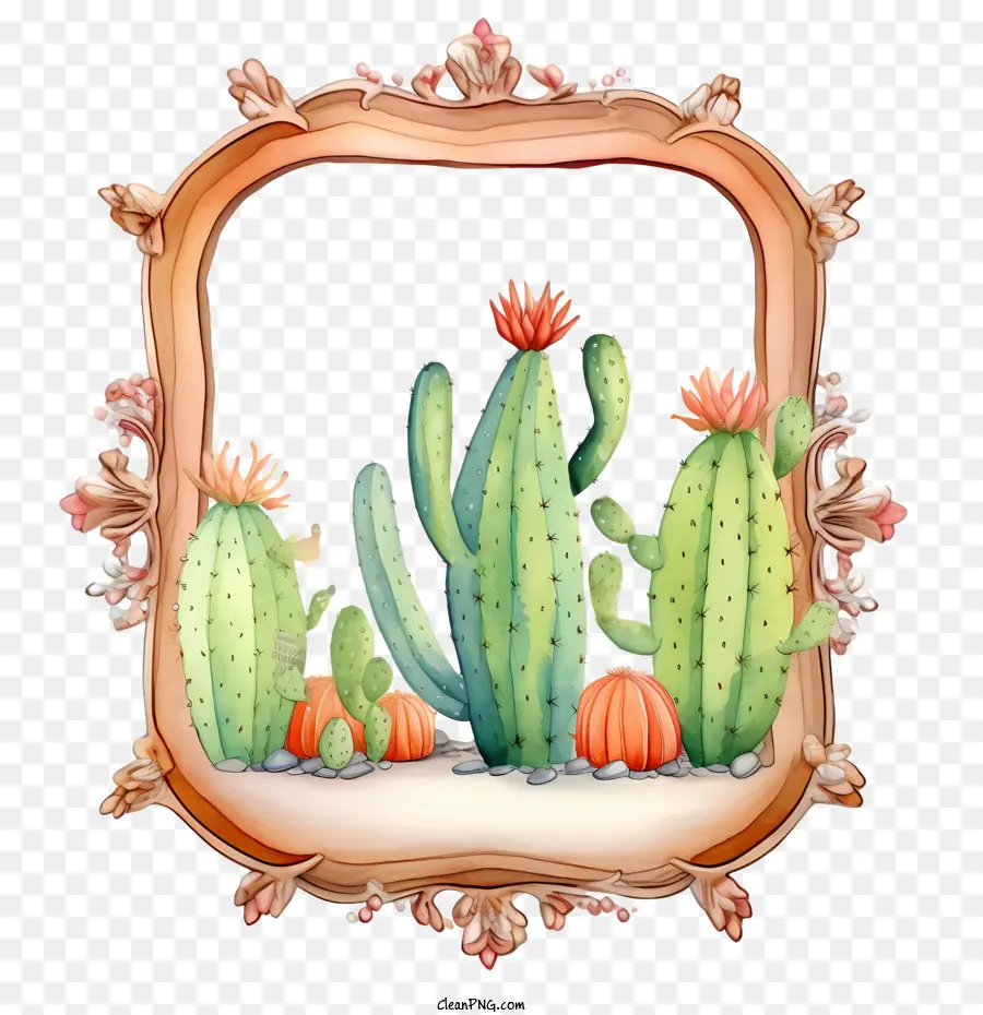 Cactus，Cadre PNG