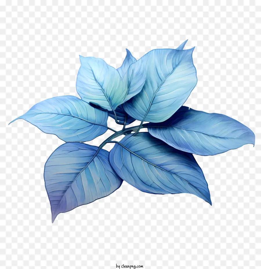 Feuilles Bleues，Feuilles PNG