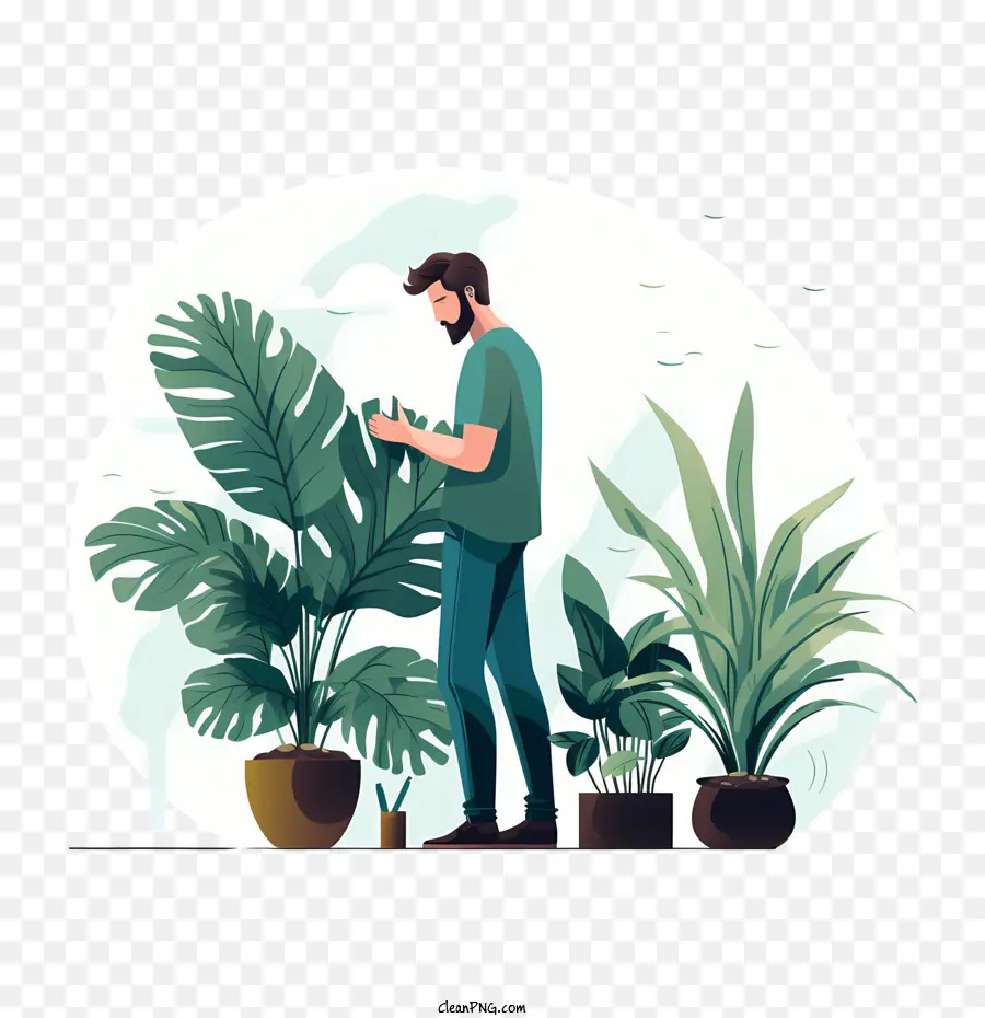 Journée D'appréciation Des Plantes D'intérieur，Homme Avec Des Plantes PNG