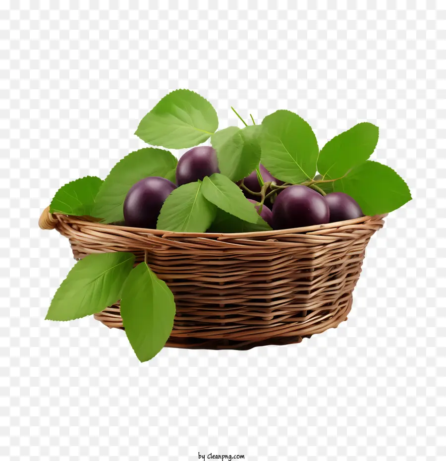 Prune，Panier De Prunes PNG