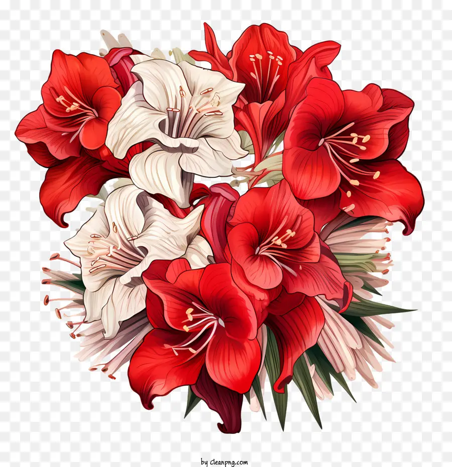 Fleur D'amaryllis，Fleurs Rouges Et Blanches PNG