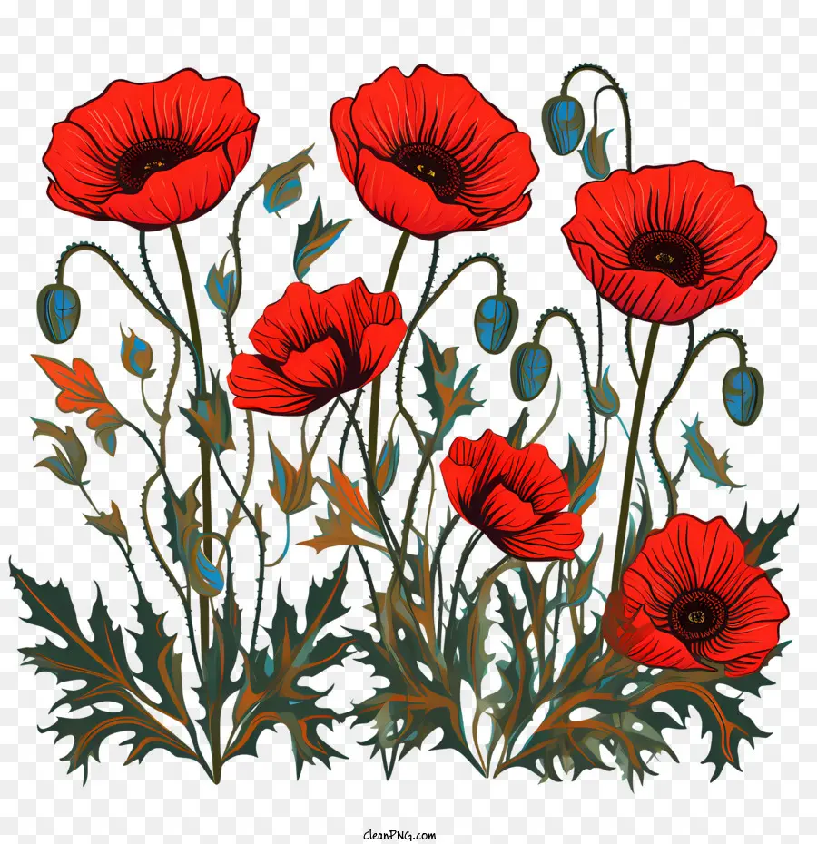 Fleur De Pavot，Coquelicots Rouges PNG