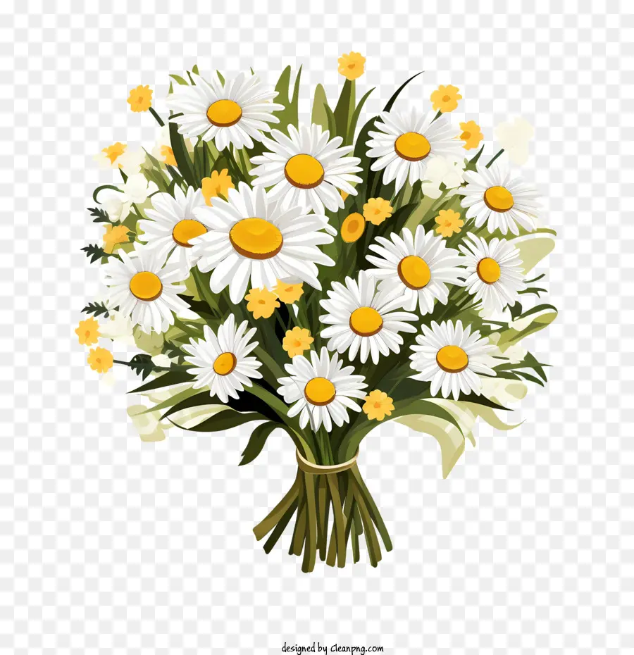 Fleur De Marguerite，Marguerites PNG