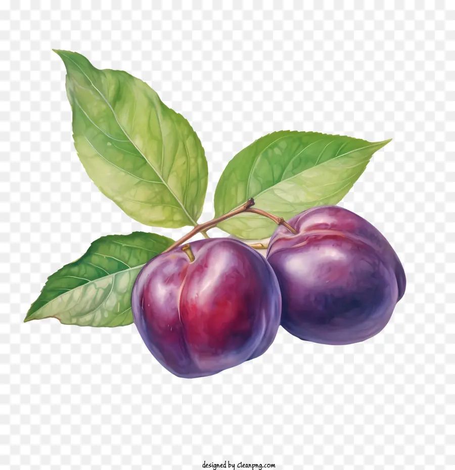 Prune，Prunes Rouges PNG