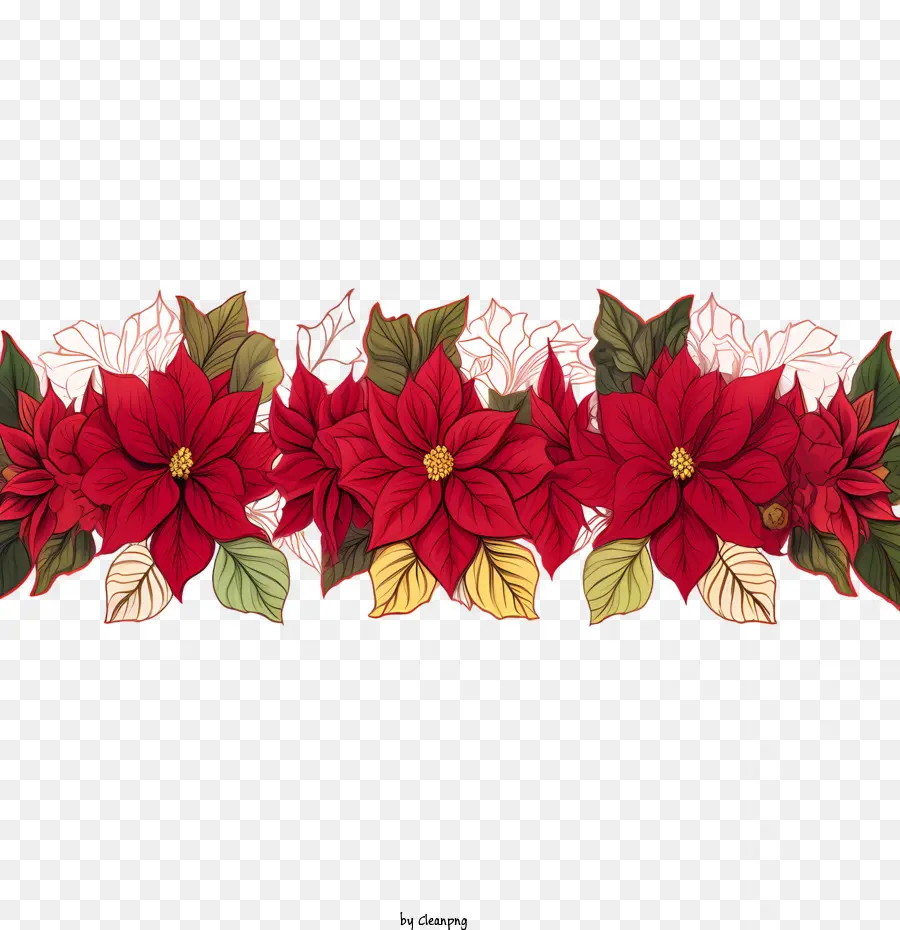 Bordure De Fleurs De Poinsettia，Fleurs De Poinsettia PNG