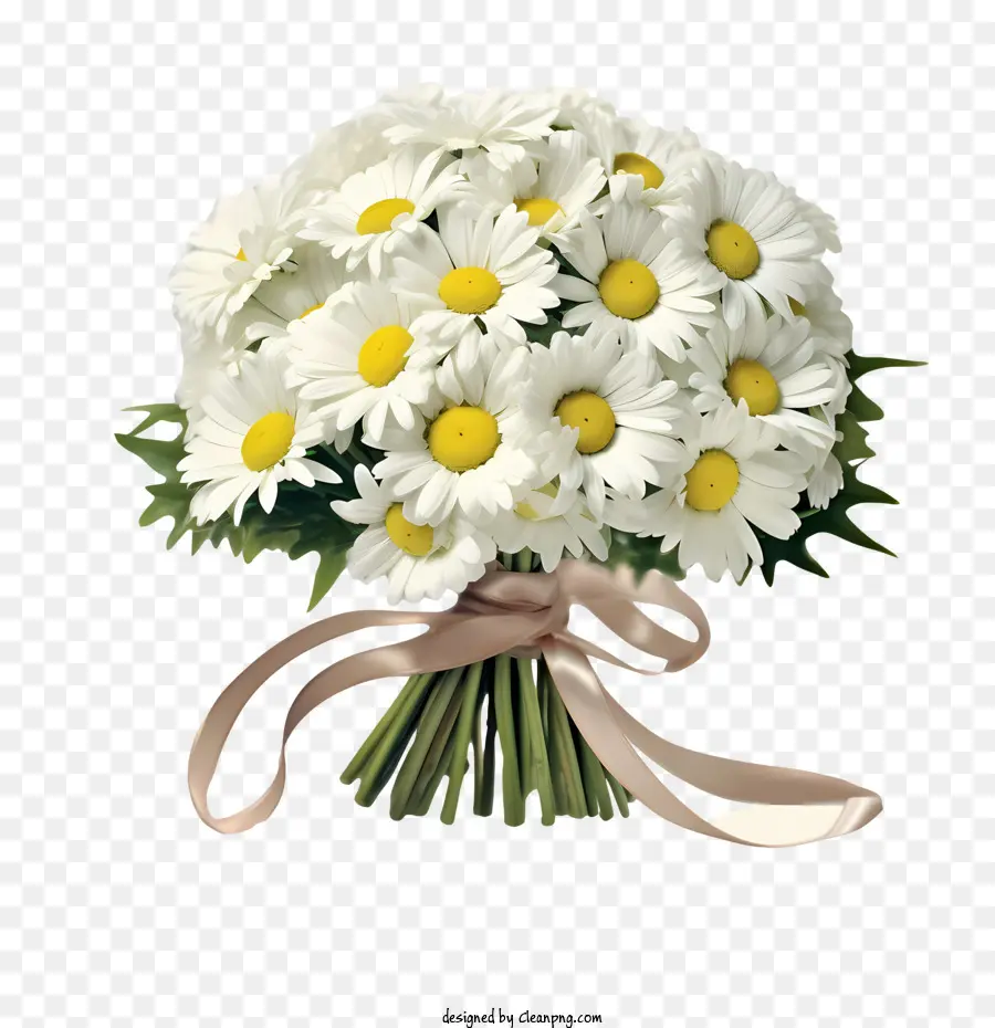 Fleur De Marguerite，Bouquet PNG