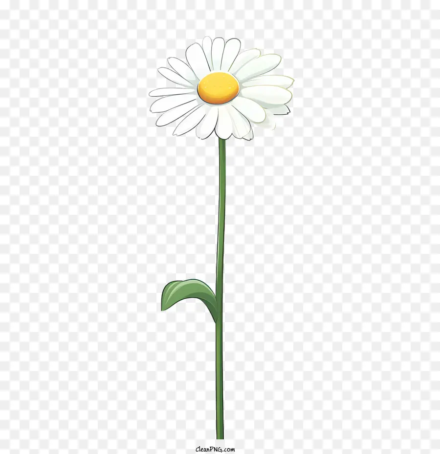 Fleur De Marguerite，Fleur PNG