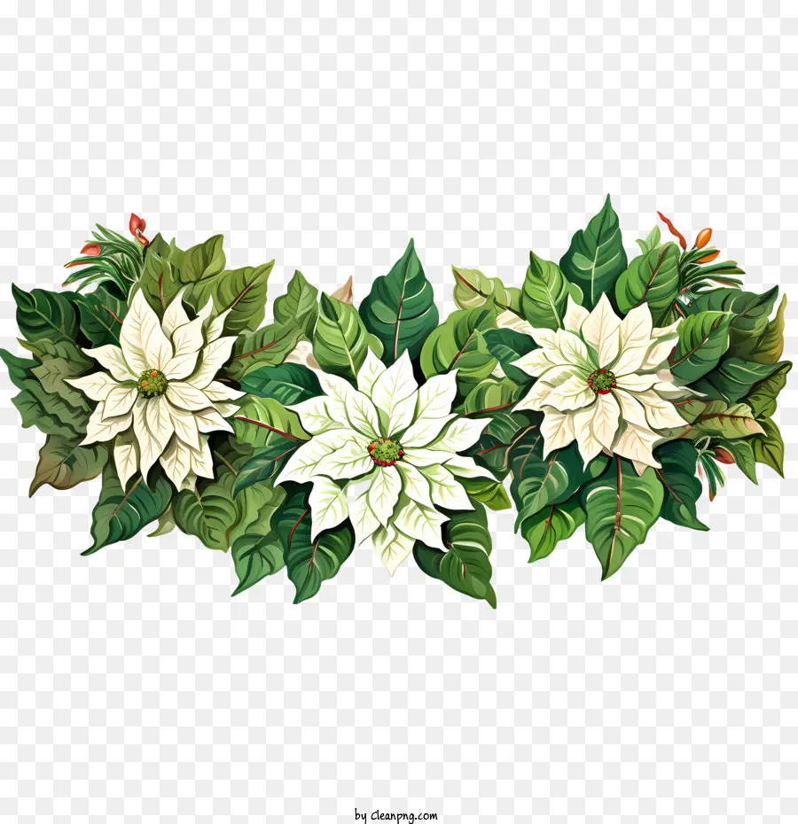 Bordure De Fleurs De Poinsettia，Poinsettia PNG