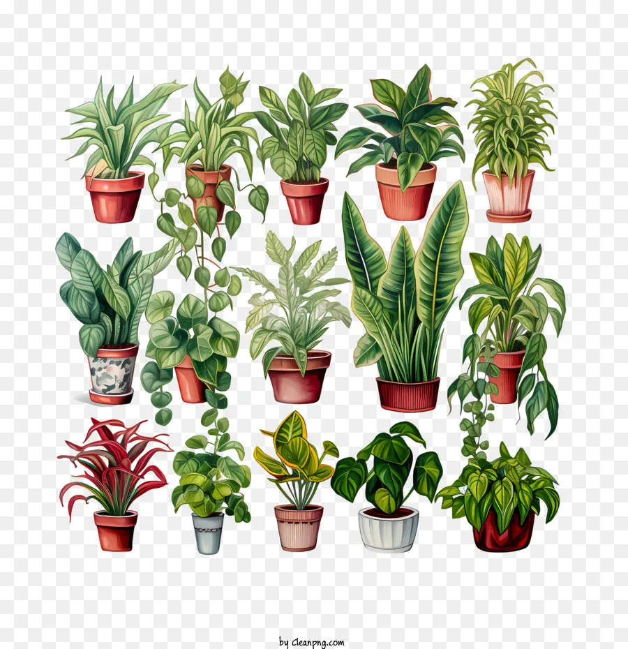 Journée D'appréciation Des Plants De Logement，Vert PNG