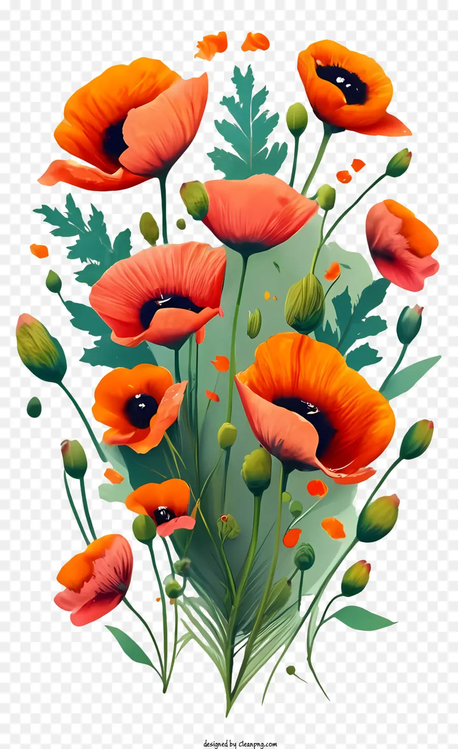 Fleur De Pavot，Coquelicots PNG