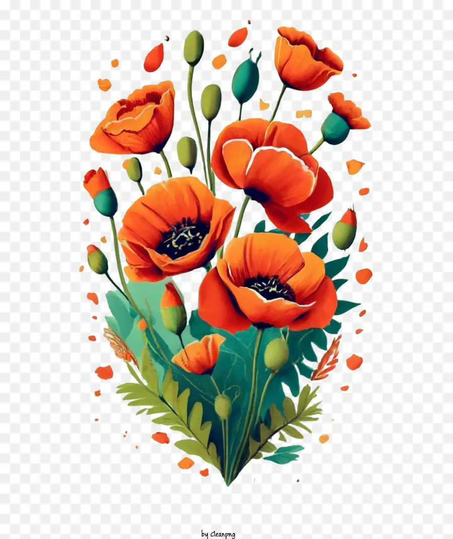 Fleur De Pavot，Coquelicots PNG