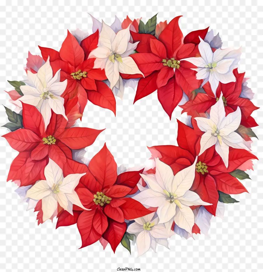 Couronne De Fleurs De Poinsettia，Couronne De Poinsettias PNG