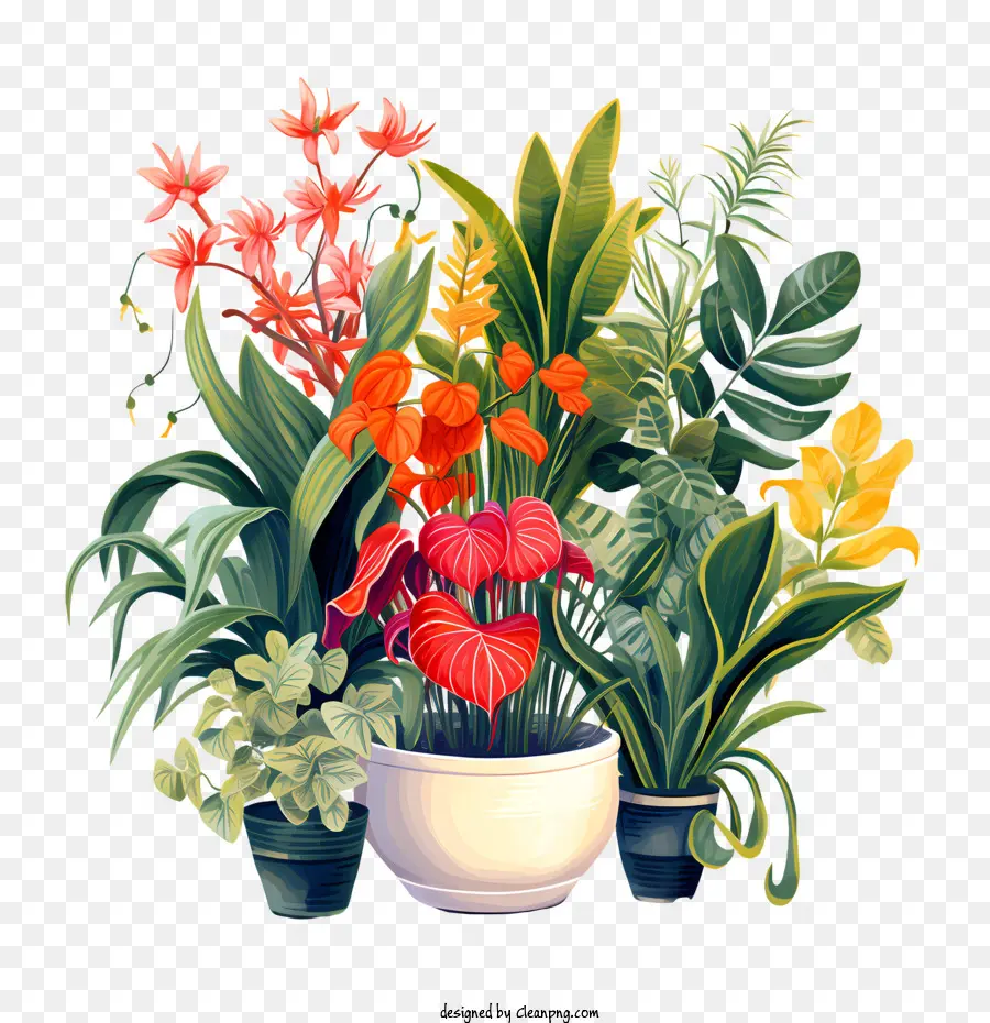 Journée D'appréciation Des Plants De Logement，Les Plantes PNG