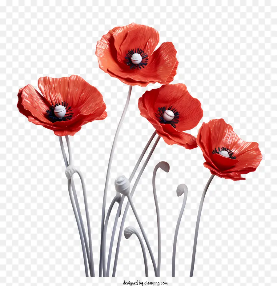 Coquelicot，Pavot PNG