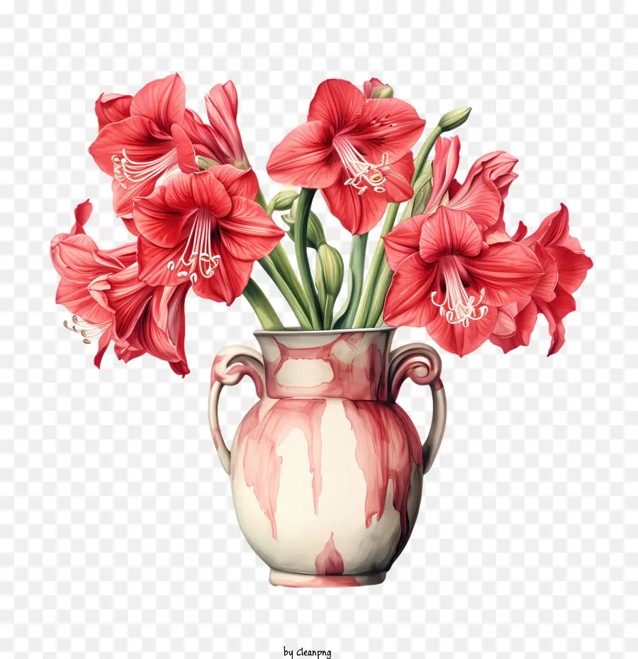 Fleur D'amaryllis，Fleurs Rouges PNG