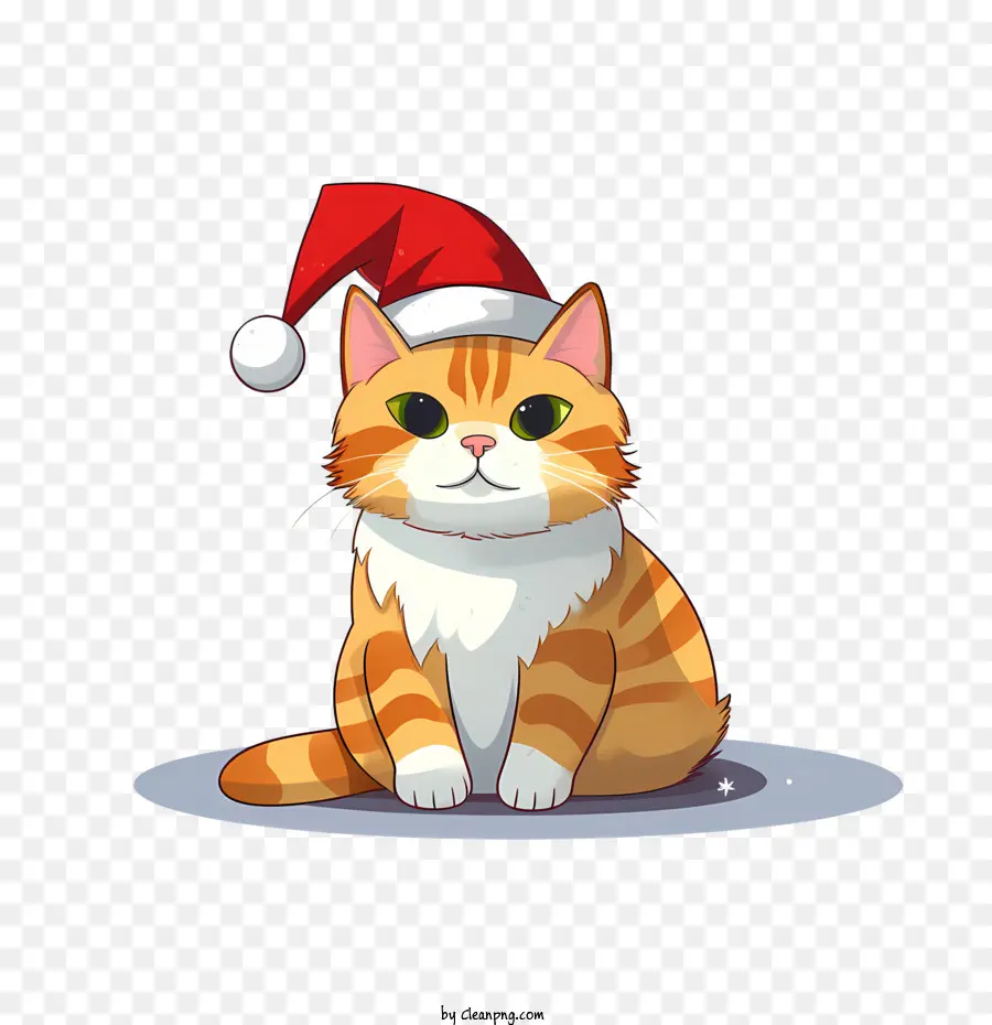 Chat De Noël，Chat PNG