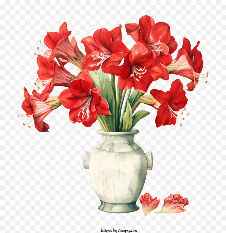 Fleur D'amaryllis，Glaïeul Dans Un Vase PNG