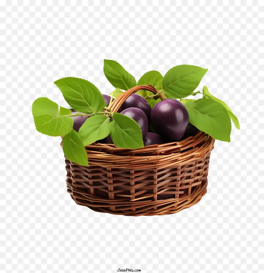 Prune，Panier De Prunes PNG