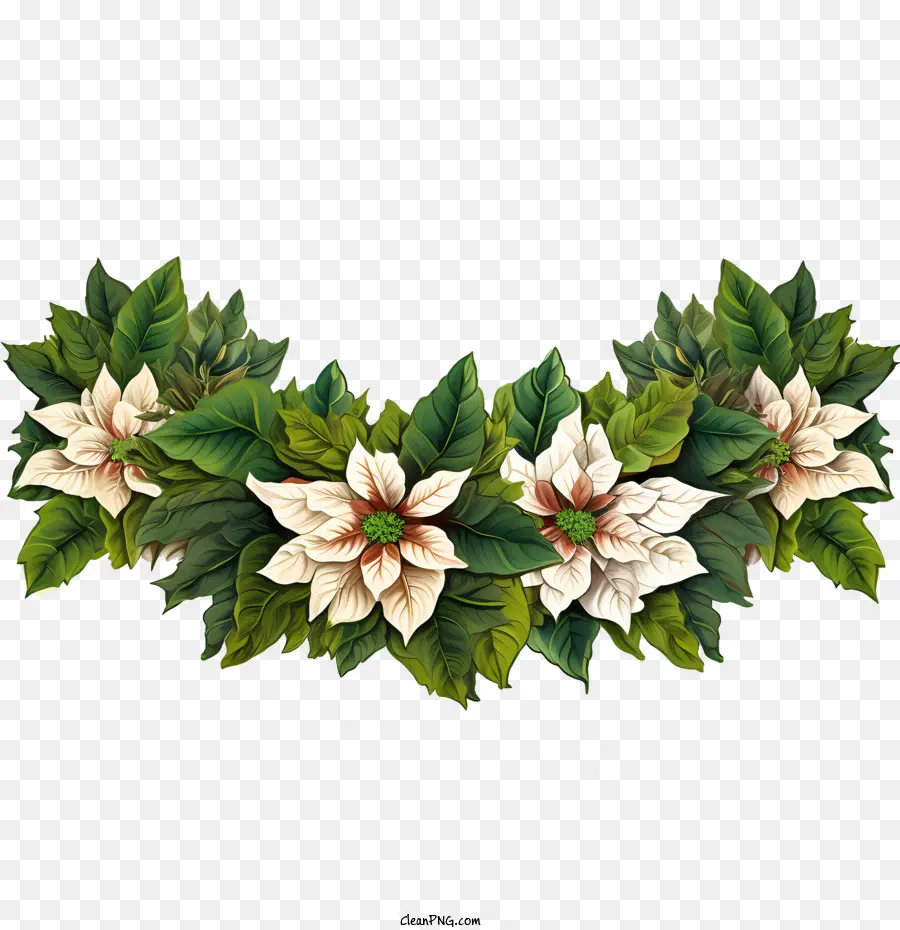 Bordure De Fleurs De Poinsettia，Poinsettia PNG