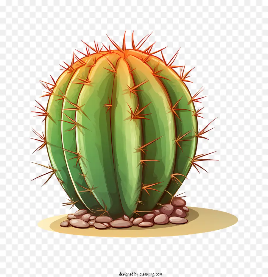 Cactus，Cactus Vert PNG