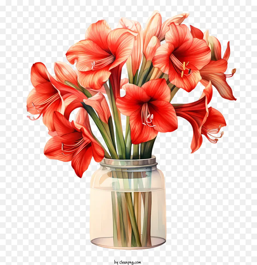 Fleur D'amaryllis，Fleurs Rouges PNG