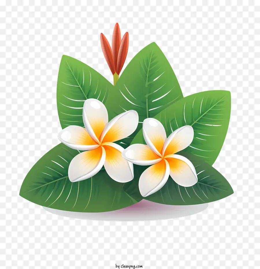 Fleur De Frangipanier，Fleurs Jaunes PNG