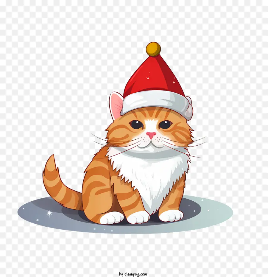 Chat De Noël，Chat PNG