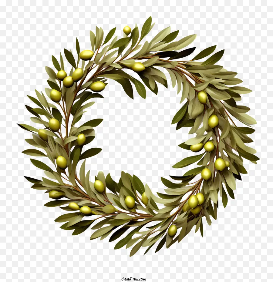 Couronne D'olivier，Olive PNG