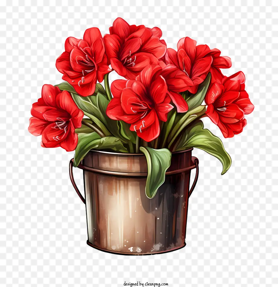 Fleur D'amaryllis，Fleurs Rouges PNG