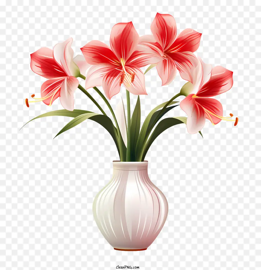 Fleur D'amaryllis，Fleurs PNG