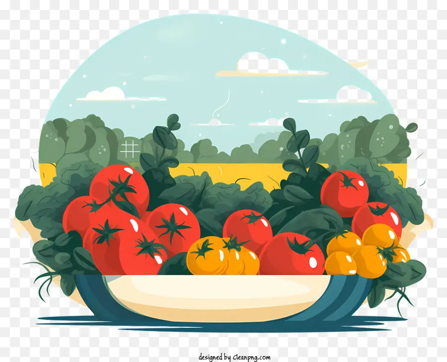 Bol De Tomates，Tomates Colorées PNG