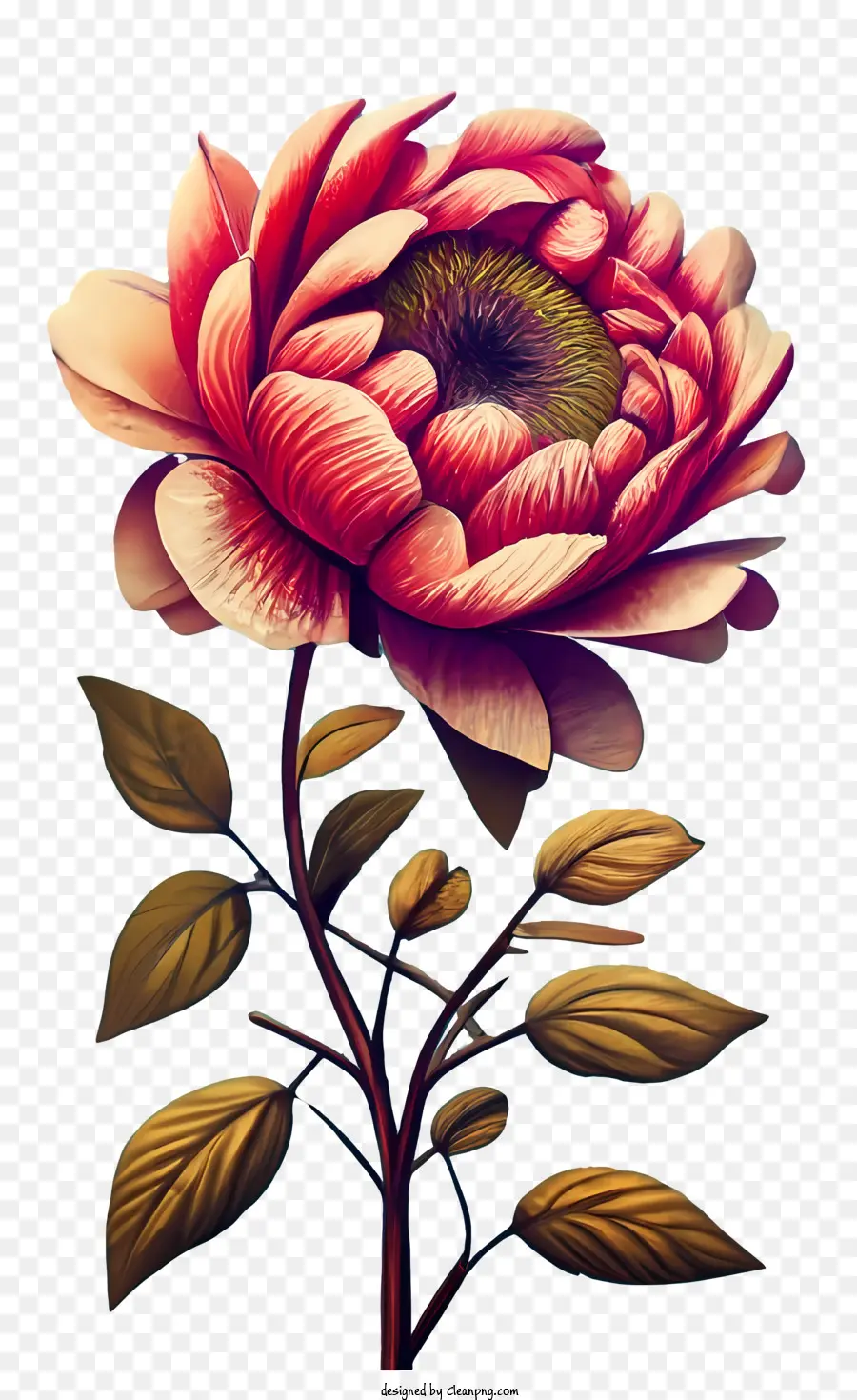 Rose Vintage，Fleur Rose PNG