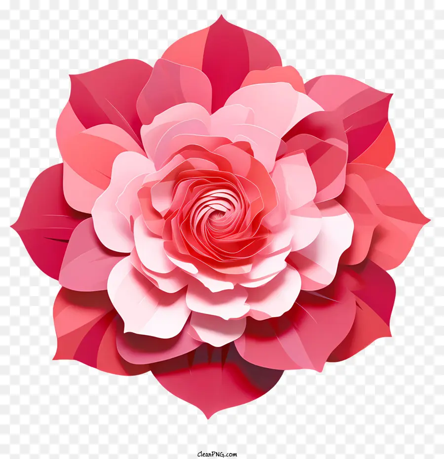 Pétales De Roses，Fleur Rose PNG