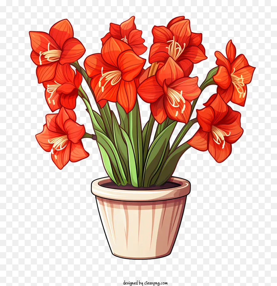 Fleur D'amaryllis，Fleurs Rouges En Pot PNG