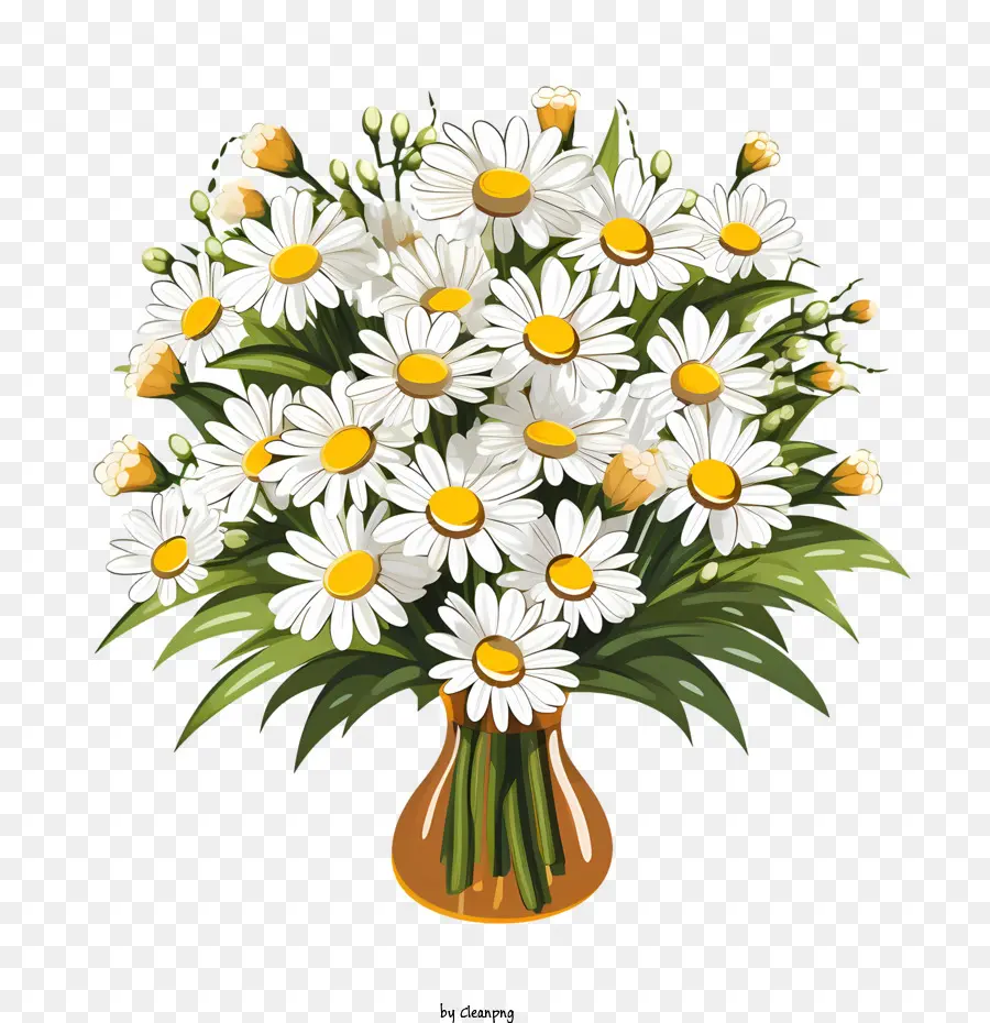 Fleur De Marguerite，Marguerites PNG