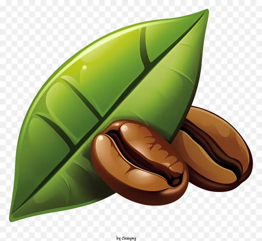 Feuille Verte，Grains De Café Et Feuilles PNG