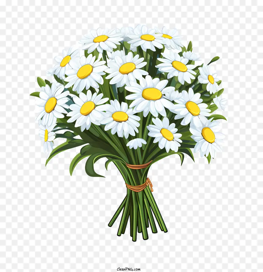 Fleur De Marguerite，Bouquet PNG