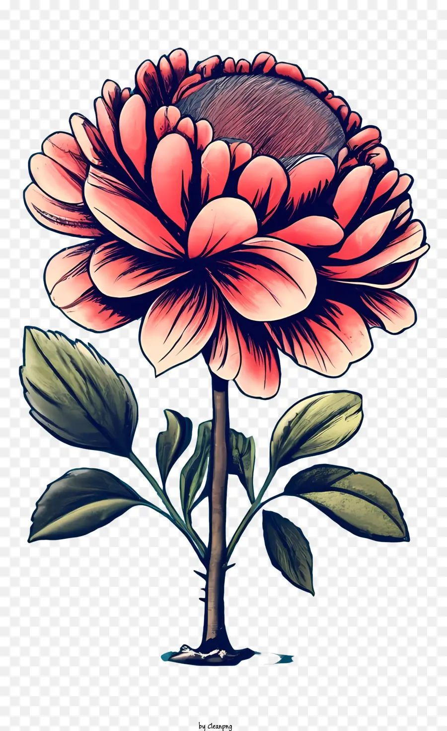 Rose Vintage，Fleur PNG