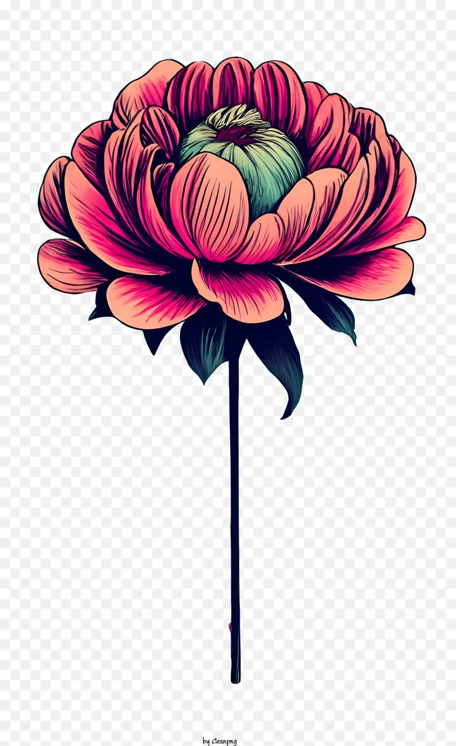 Rose Vintage，Fleur PNG