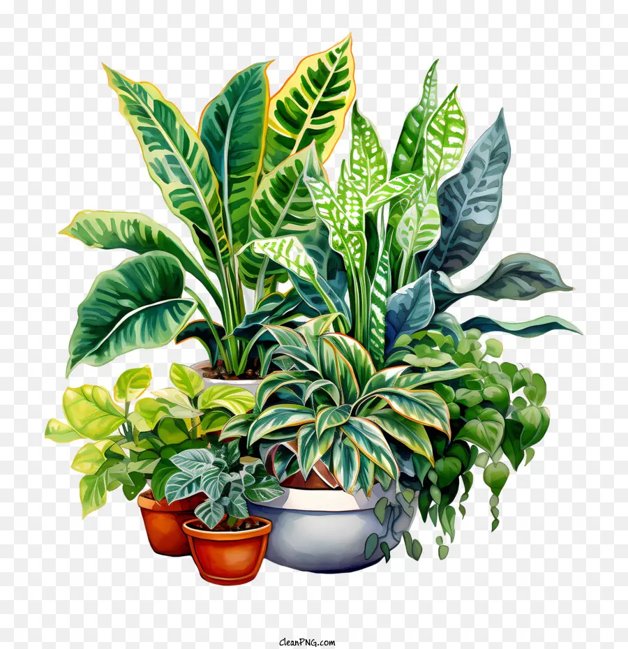 Journée D'appréciation Des Plants De Logement，Les Plantes En Pot PNG