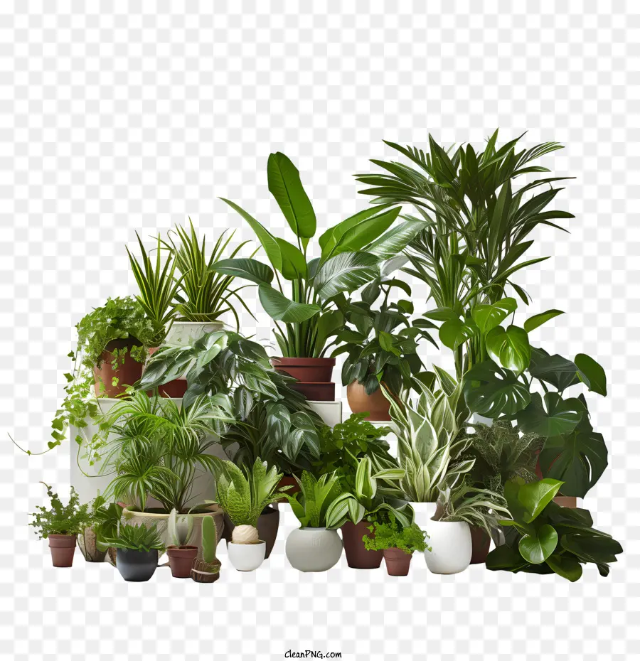 Journée D'appréciation Des Plants De Logement，Vert PNG