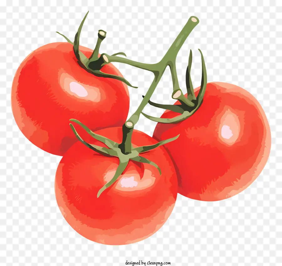 Tomates Rouges，Des Tomates Bien Mûres PNG