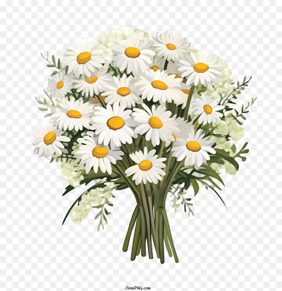 Fleur De Marguerite，Marguerites PNG