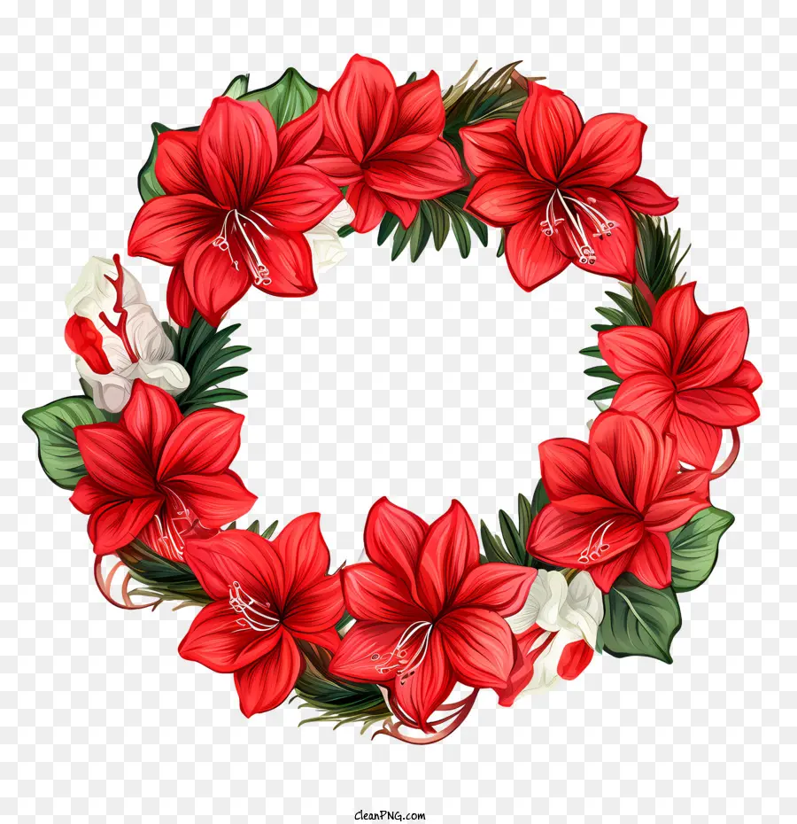 Fleur D'amaryllis，Couronne De Noël PNG