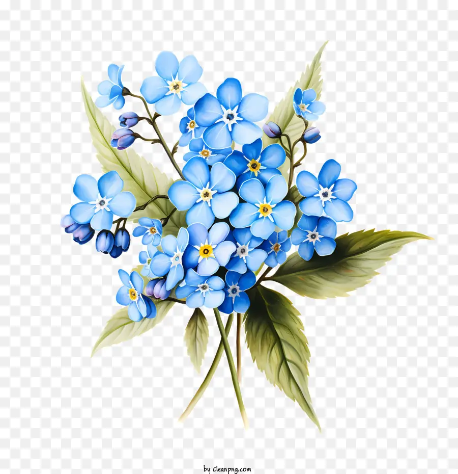 M'oublie Pas De Fleurs，Fleurs Bleues PNG